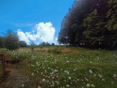 FERMETTE A VENDRE - ARLEUF - 79.24 m2 - 59000€