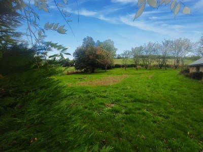 Ensemble immobilier de deux maisons dont une  rn A VENDRE - DUN SUR GRANDRY - 206.33 m2 - 159000€