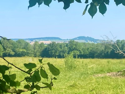 MAISON ET DEPENDANCES SUR BEAU TERRAIN - PUITS - ST FRANCHY - 111.54 m2 - VENDU
