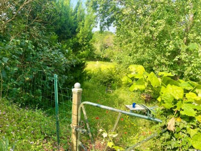 MAISON DE CAMPAGNE AVEC TERRAIN - ALLUY - 52.44 m2 - VENDU