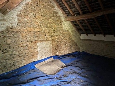 MAISON DE CAMPAGNE AVEC TERRAIN - ALLUY - 52.44 m2 - VENDU