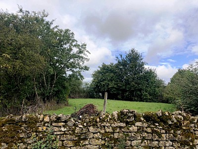 FERMETTE CAMPAGNE A VENDRE - ALLUY - 66 m2 - 55 000 €