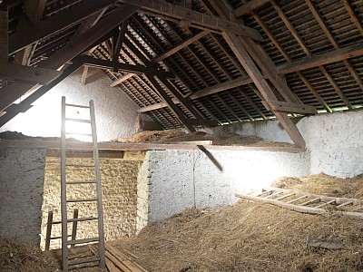 FERMETTE CAMPAGNE A VENDRE - ALLUY - 66 m2 - 55 000 €