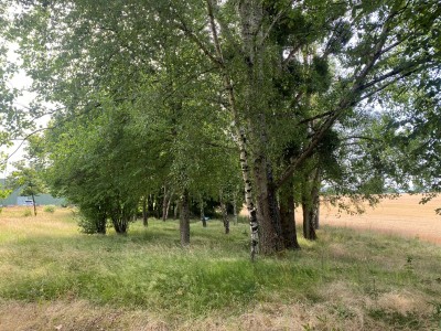 MAISON A VENDRE - ALLUY - 294.95 m2 - 71 700 €