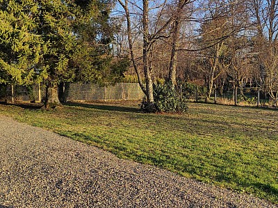 MAISON A VENDRE - ARLEUF - 215.4 m2 - 193000€