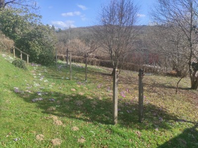 MAISON A VENDRE - ARLEUF - 107.57 m2 - 88000€