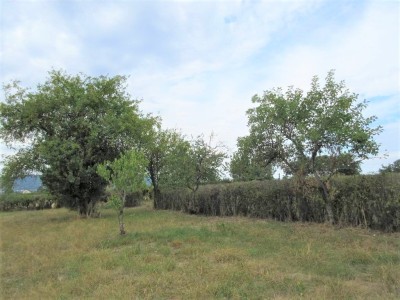 MAISON A VENDRE - ST FORGEOT - 70.7 m2 - 85000€