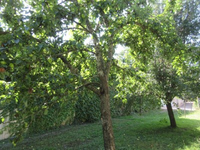 MAISON A VENDRE - AUTUN - 190.58 m2 - 226000€