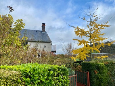 MAISON A VENDRE - BILLY CHEVANNES - 99.53 m2 - 54 000 €