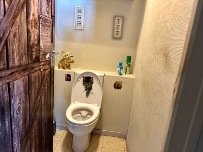 MAISON A VENDRE - BRINAY - 154.39 m2 - 130 000 €