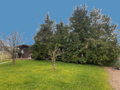 MAISON A VENDRE - CERCY LA TOUR - 149.65 m2 - 172�000�&euro;