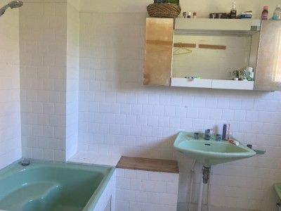Ensemble immobilier d une maison et d un gte A VENDRE - CHAUMARD - 319.35 m2 - 399000€