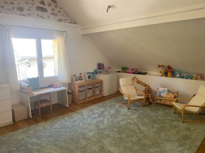 Ensemble immobilier d une maison et d un gte A VENDRE - CHAUMARD - 319.35 m2 - 399000€