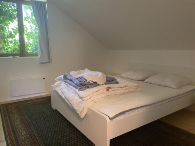 Ensemble immobilier d une maison et d un gte A VENDRE - CHAUMARD - 319.35 m2 - 399000€