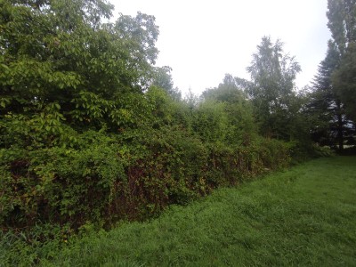 MAISON A VENDRE - EPIRY - 80.76 m2 - 52000€