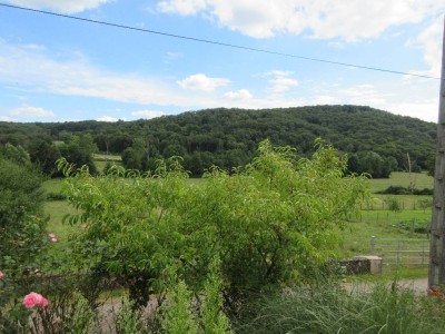 MAISON DE HAMEAU A VENDRE - JOUEY - 82.7 m2 - 30000€
