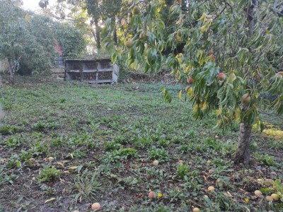 MAISON A VENDRE - MOULINS ENGILBERT - 102.98 m2 - 33 500 €