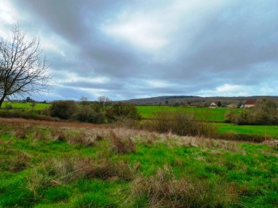 PROPRIETE DE MAISON-DEPENDANCES-TERRAIN 6928 M2 - SAXI BOURDON - 176.18 m2 - VENDU