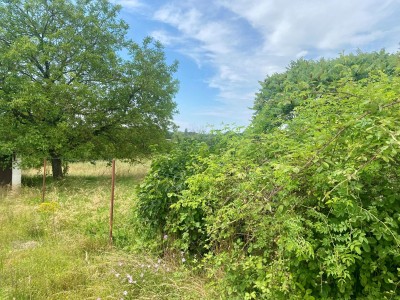 MAISON DE CAMPAGNE A VENDRE - ST MAURICE - 111.99 m2 - 60000€