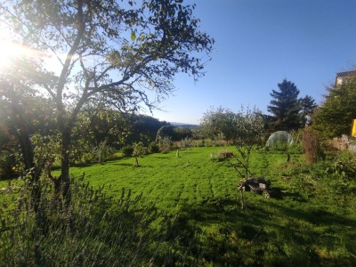 MAISON A VENDRE - ST PEREUSE - 92.21 m2 - 60 000 €