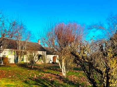 maison de campagne en viager A VENDRE - ST SAULGE - 181.39 m2 - 27000€