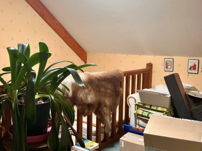 MAISON A VENDRE - ST SAULGE - 162.4 m2 - 220 000 &euro;