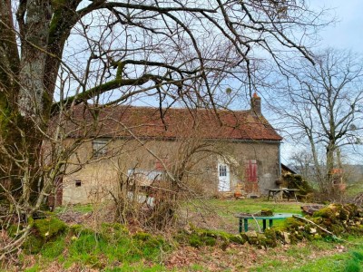 MAISON ET DEPENDANCES SUR BEAU TERRAIN A VENDRE - STE MARIE - 52 m2 - 44000€