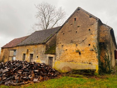 MAISON ET DEPENDANCES SUR BEAU TERRAIN A VENDRE - STE MARIE - 52 m2 - 44000€