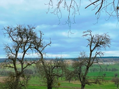 MAISON ET DEPENDANCES SUR BEAU TERRAIN A VENDRE - STE MARIE - 52 m2 - 44000€
