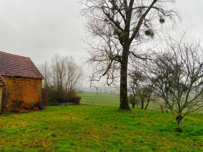 MAISON ET DEPENDANCES SUR BEAU TERRAIN A VENDRE - STE MARIE - 52 m2 - 44000€