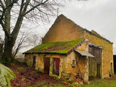 MAISON ET DEPENDANCES SUR BEAU TERRAIN A VENDRE - STE MARIE - 52 m2 - 44000€