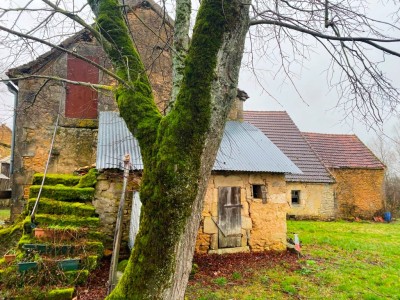 MAISON ET DEPENDANCES SUR BEAU TERRAIN A VENDRE - STE MARIE - 52 m2 - 39 000 €