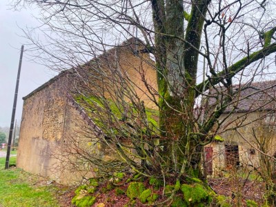 MAISON ET DEPENDANCES SUR BEAU TERRAIN A VENDRE - STE MARIE - 52 m2 - 39 000 €