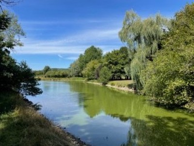 PROPRIETE A VENDRE - ST LEGER DE FOUGERET - 329.76 m2 - 368 000 €