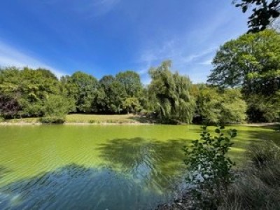 PROPRIETE A VENDRE - ST LEGER DE FOUGERET - 329.76 m2 - 368 000 €