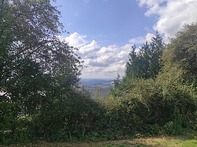 TERRAIN A VENDRE - CHATEAU CHINON VILLE - 3678 m2 - 33000€