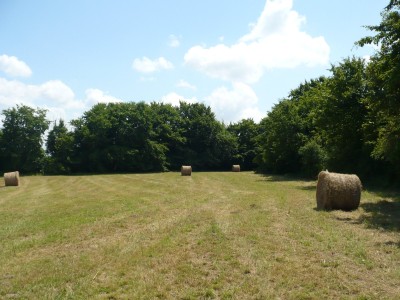 TERRAIN A BATIR A VENDRE - CRUX LA VILLE - 6315 m2 - 55000€