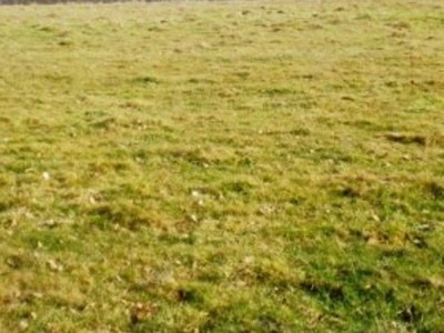 TERRAIN A BATIR A VENDRE - CRUX LA VILLE - 6315 m2 - 55000€
