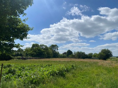 TERRAIN A BATIR A VENDRE - ROUY - 2590 m2 - 25000€