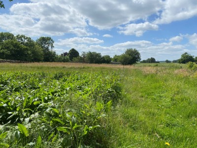 TERRAIN A BATIR A VENDRE - ROUY - 2590 m2 - 25000€
