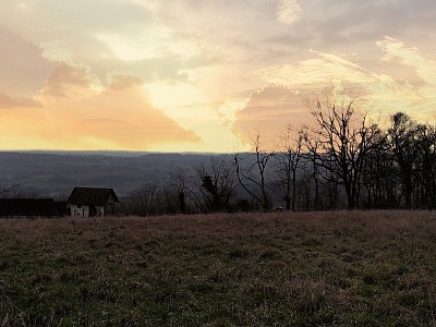 TERRAIN - ST PEREUSE - 2024 m2 - VENDU