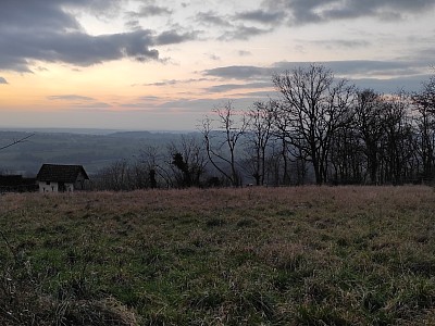 TERRAIN - ST PEREUSE - 2024 m2 - VENDU