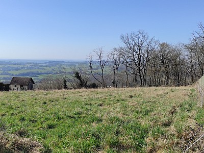 TERRAIN - ST PEREUSE - 2024 m2 - VENDU