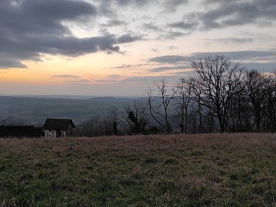 TERRAIN - ST PEREUSE - 2024 m2 - VENDU