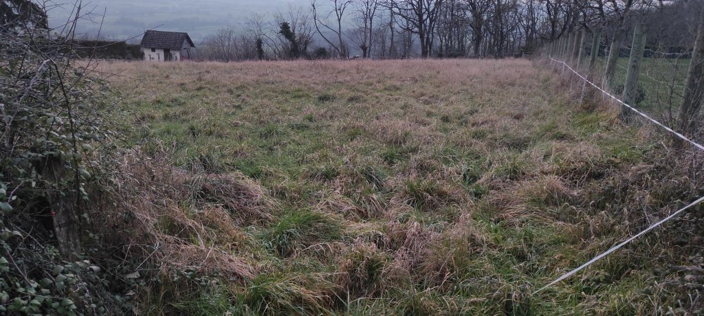 TERRAIN - ST PEREUSE - VENDU