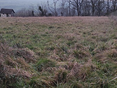 TERRAIN - ST PEREUSE - 2024 m2 - VENDU
