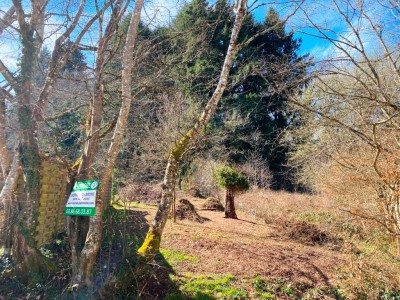 TERRAIN A BATIR ARBORE A VENDRE - ST SAULGE - 1354 m2 - 14�000�&euro;