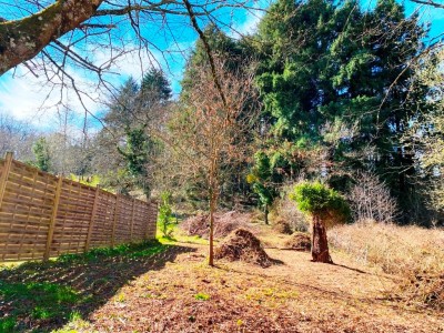 TERRAIN A BATIR ARBORE A VENDRE - ST SAULGE - 1354 m2 - 14�000�&euro;