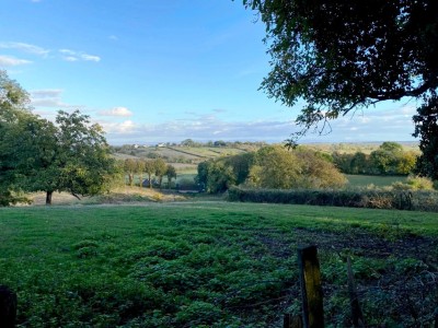 TERRAIN A VENDRE - ST SAULGE - 2937 m2 - 12000€