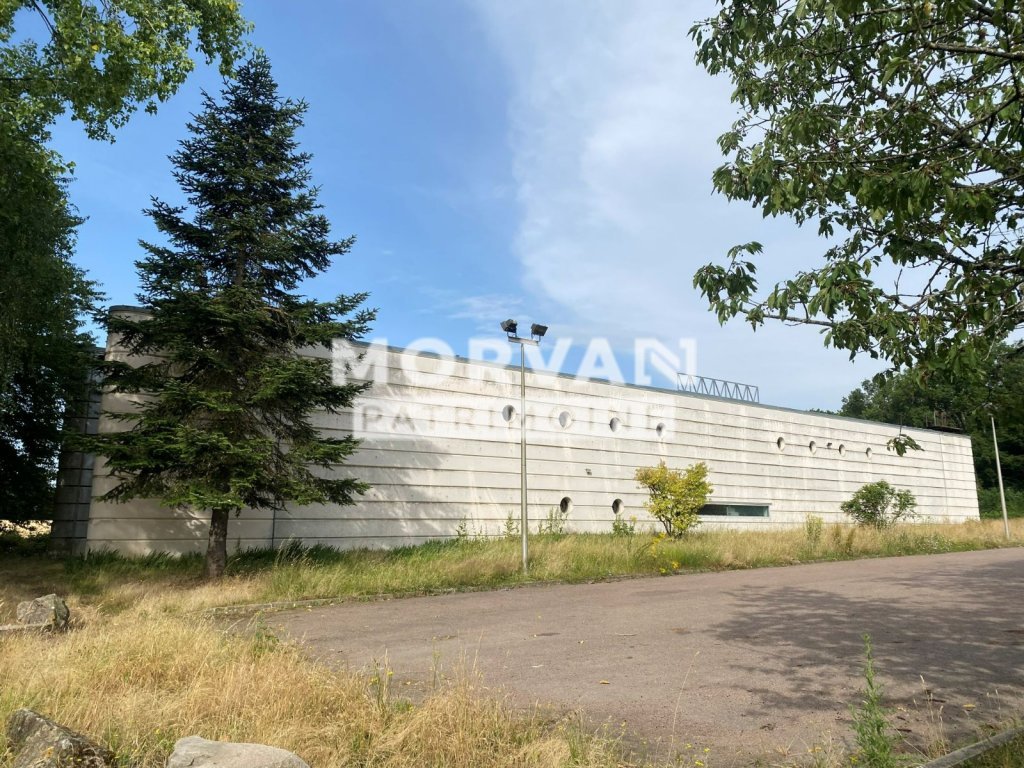 MAISON A VENDRE - ALLUY - 294.95 m2 - 71 700 &euro;